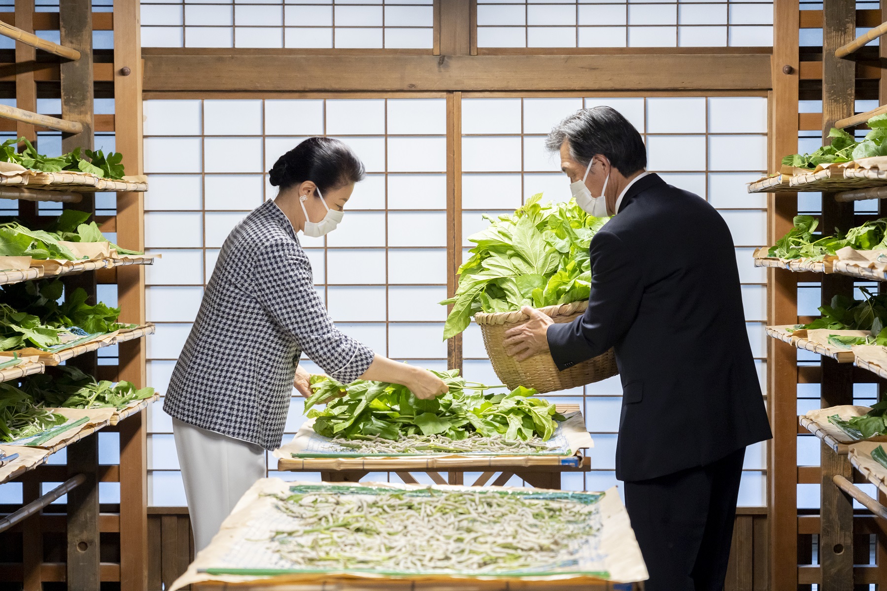 ご給桑をなさる皇后陛下（紅葉山御養蚕所）