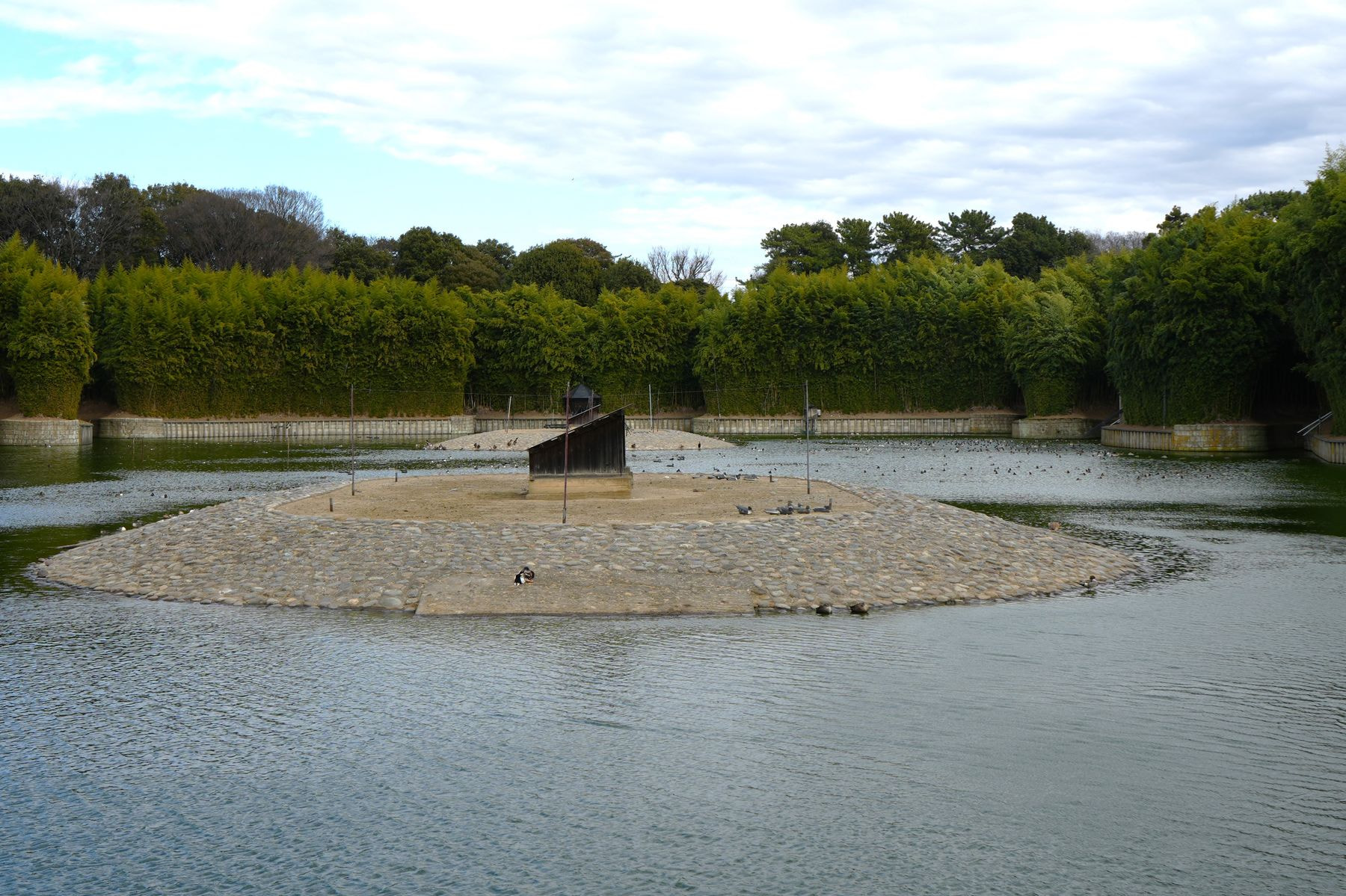 埼玉鴨場・元溜