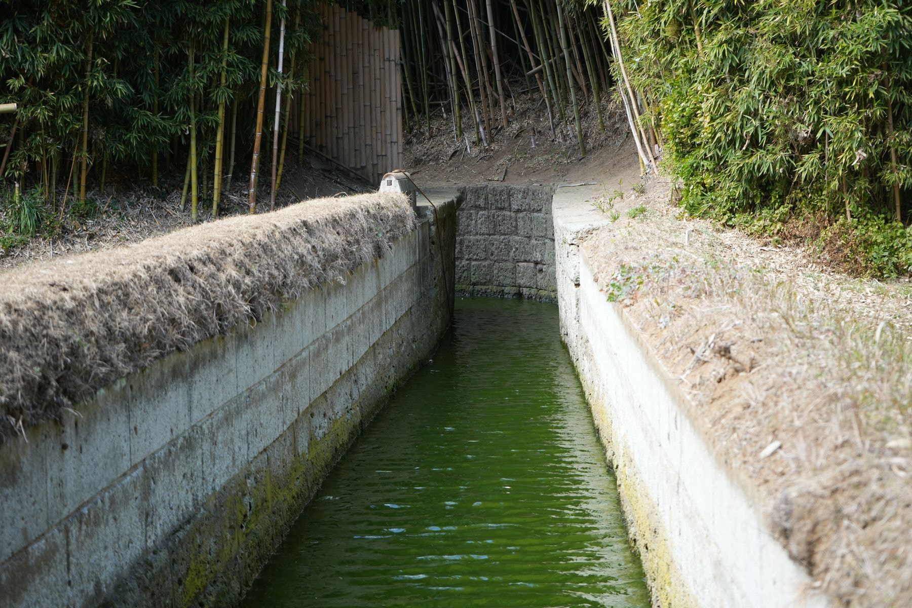 埼玉鴨場・元溜