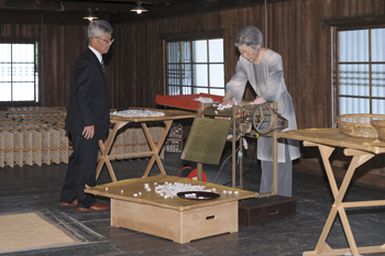 ご養蚕のお写真