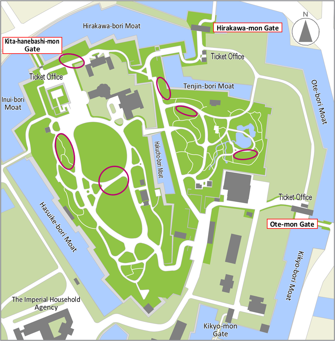Cherry tree (Good time to see:mid Mar.~early Apr.) bloom map