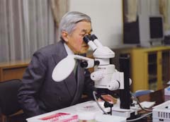 Crown Prince Akihito conducts research on gobiid fishes.