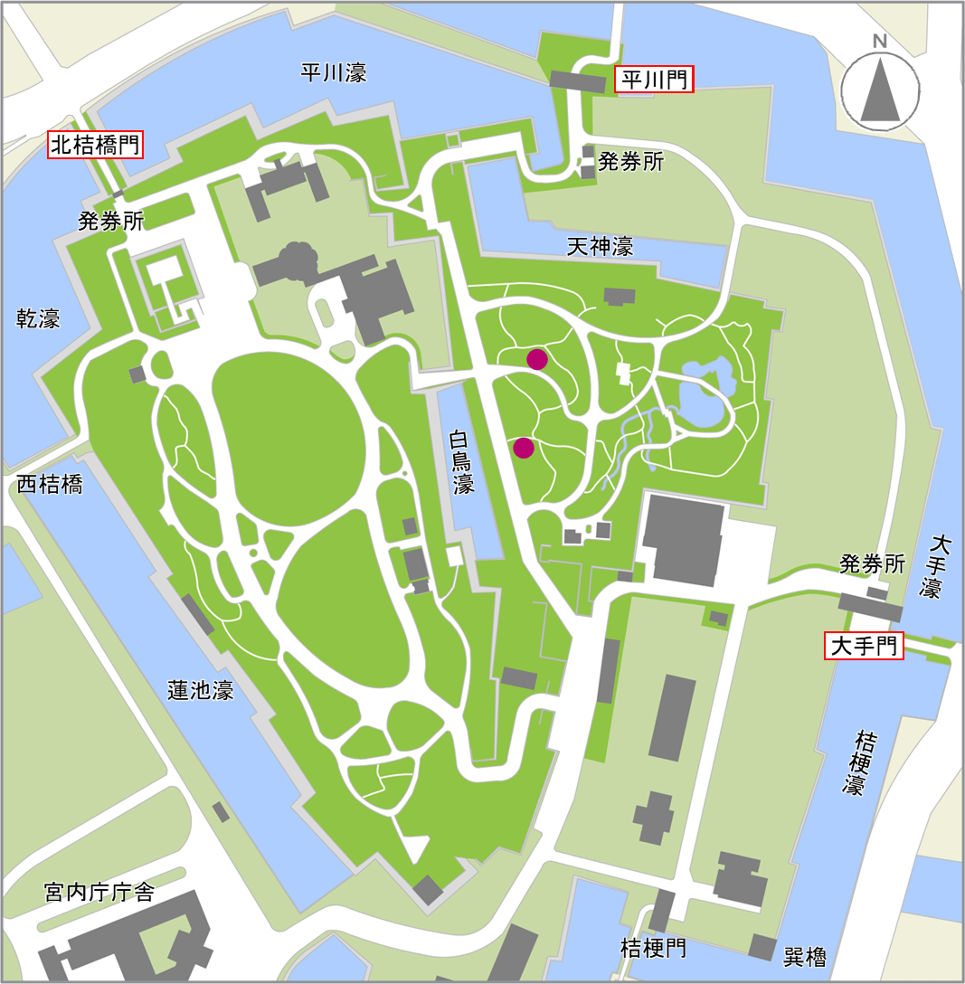 チゴユリの開花場所