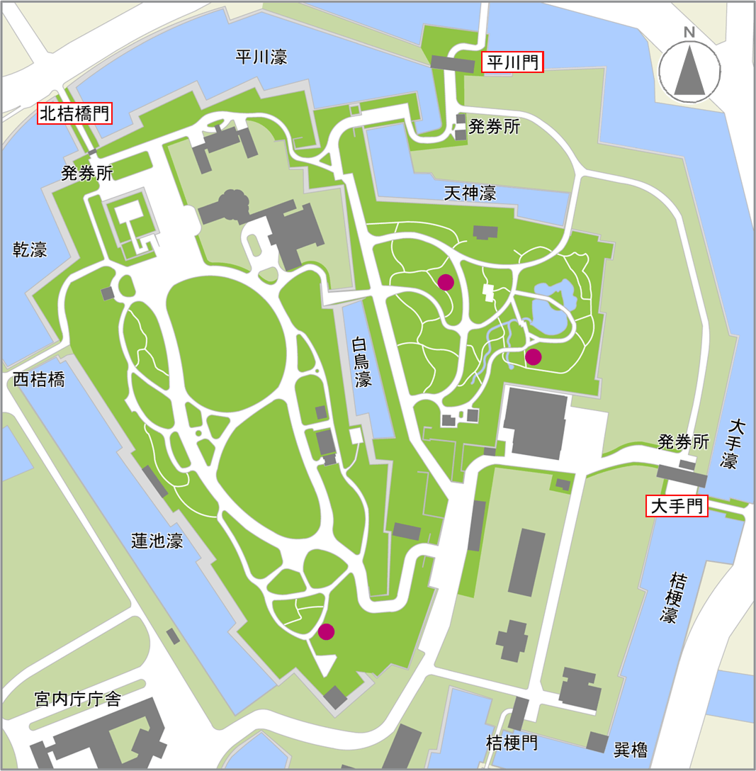 エビネの開花場所