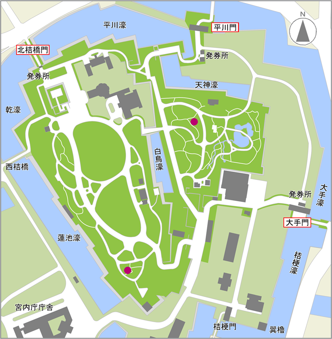 イカリソウの開花場所