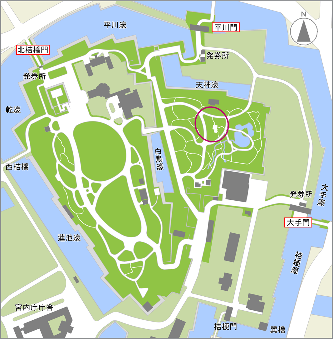 クルメツツジの開花場所