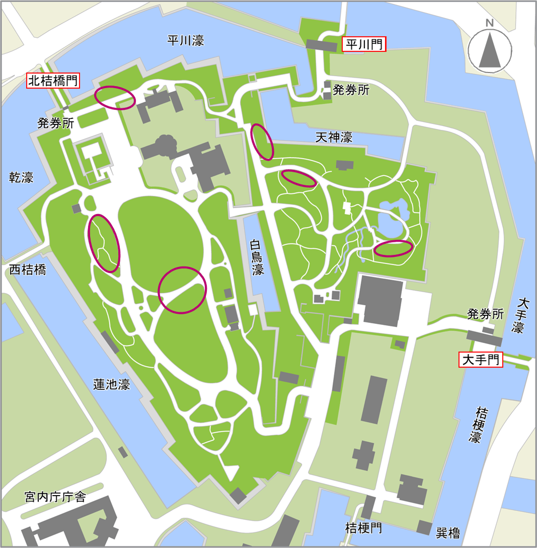 サクラ（3月中旬～4月上旬開花）の開花場所