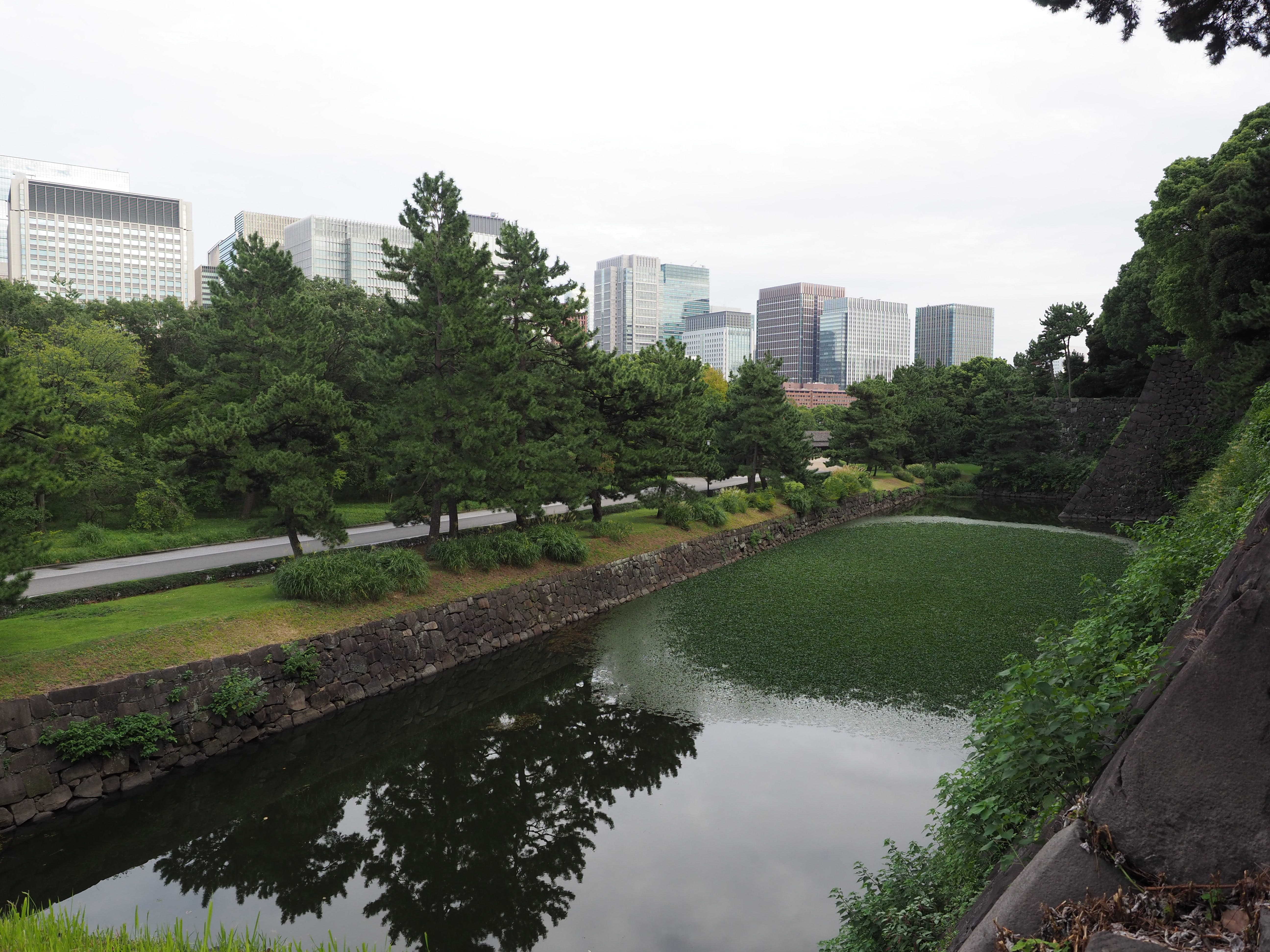 白鳥濠(はくちょうぼり) 現在(平成30年(2018))