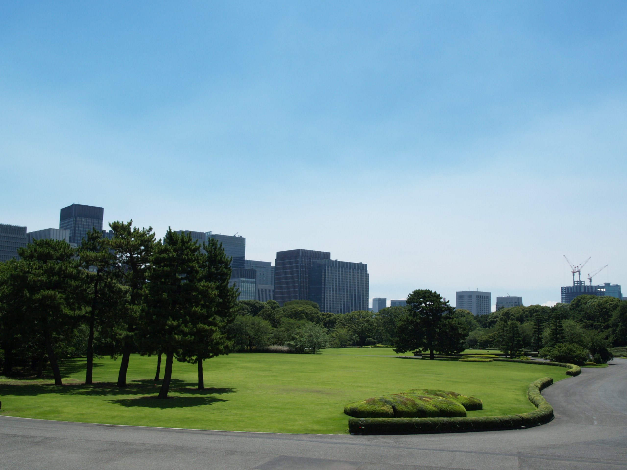 本丸大芝生（松の芝生、ケヤキの芝生）