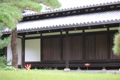 大番所とヒガンバナ