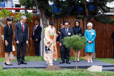 写真1：佳子内親王殿下が植樹される様子（日秘文化会館　日本庭園） （写真提供：ペルー日系人協会（Asociación Peruano Japonesa））