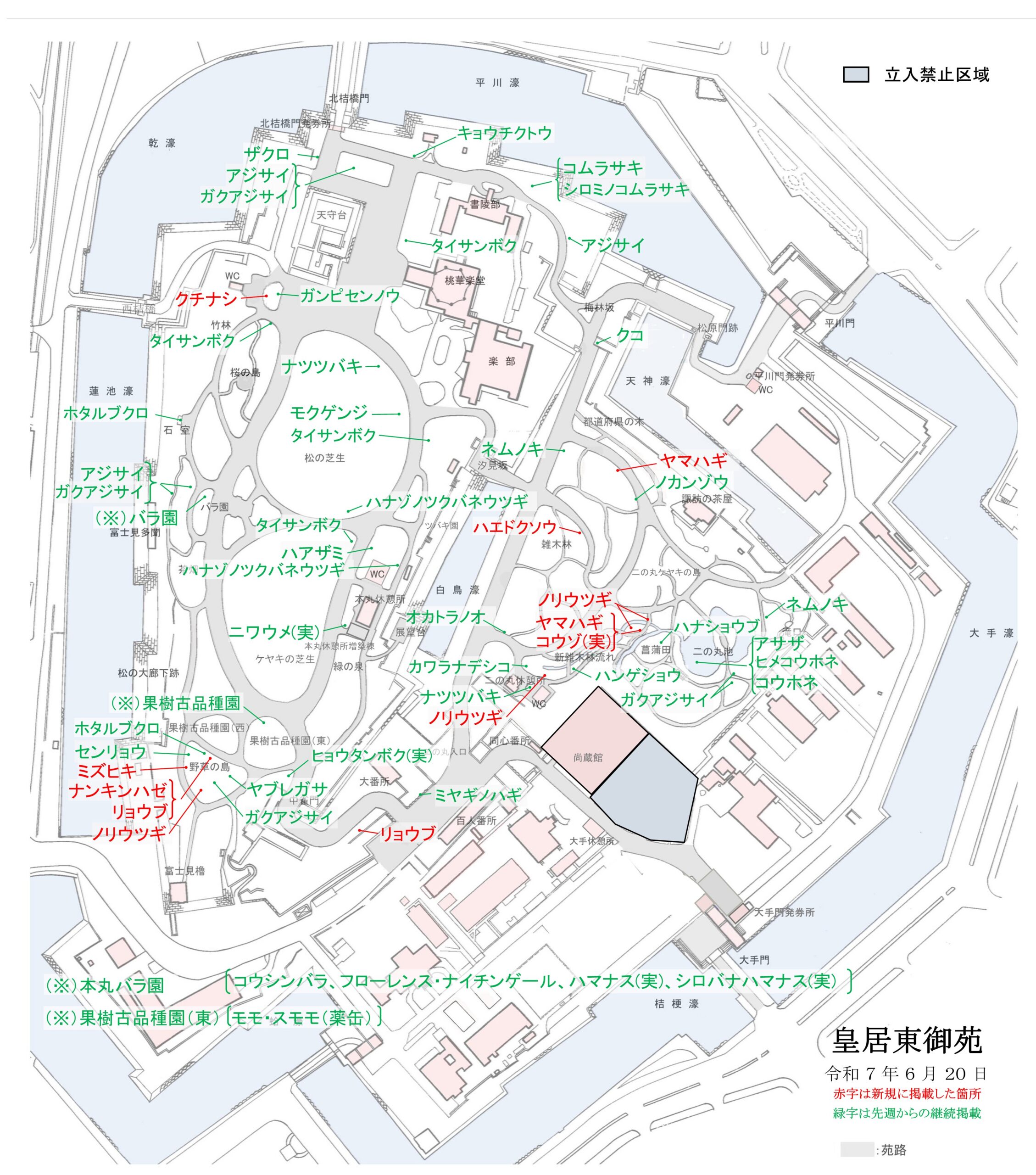 令和7年6月20日皇居東御苑開花地図