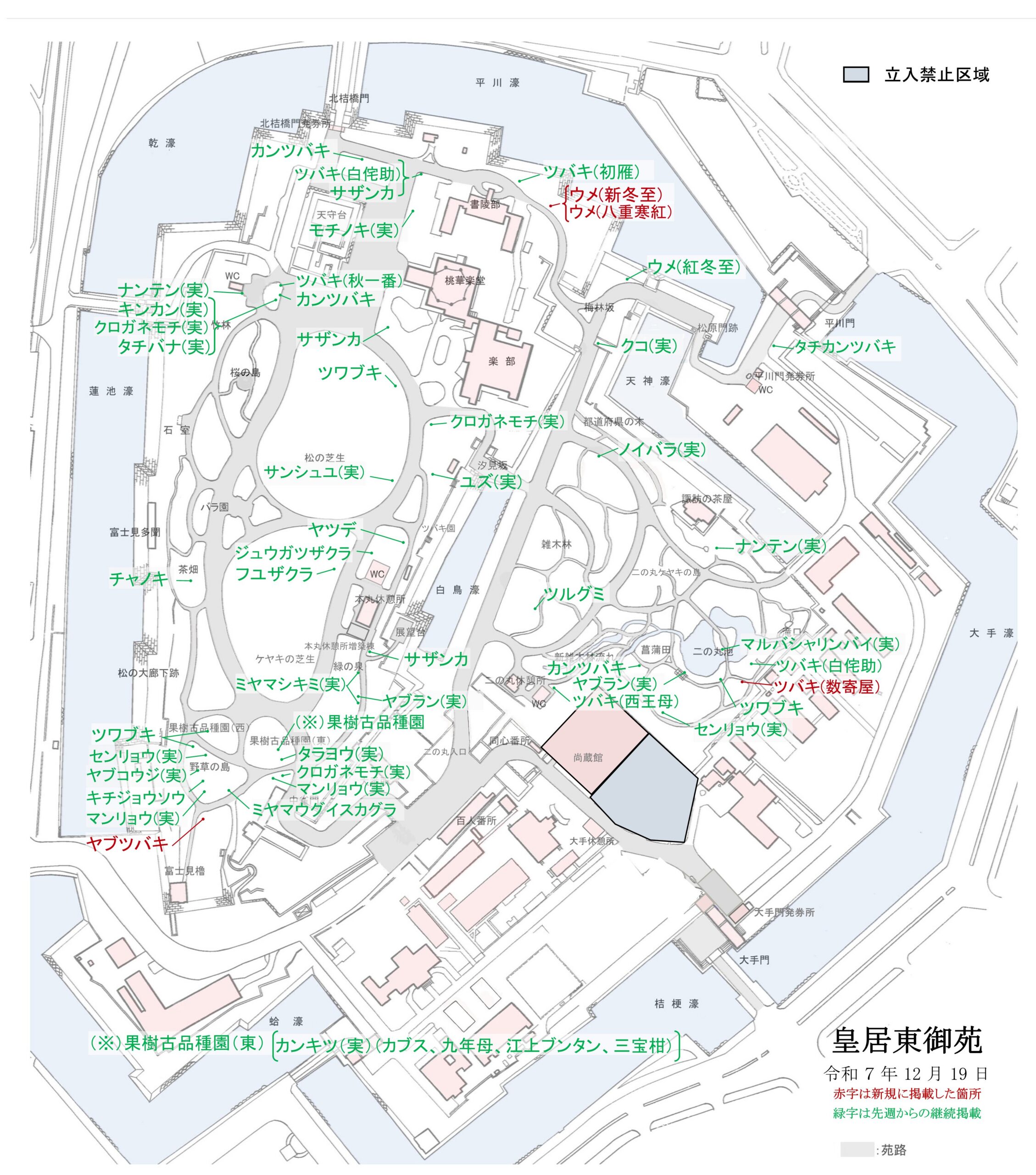令和7年12月19日皇居東御苑開花地図