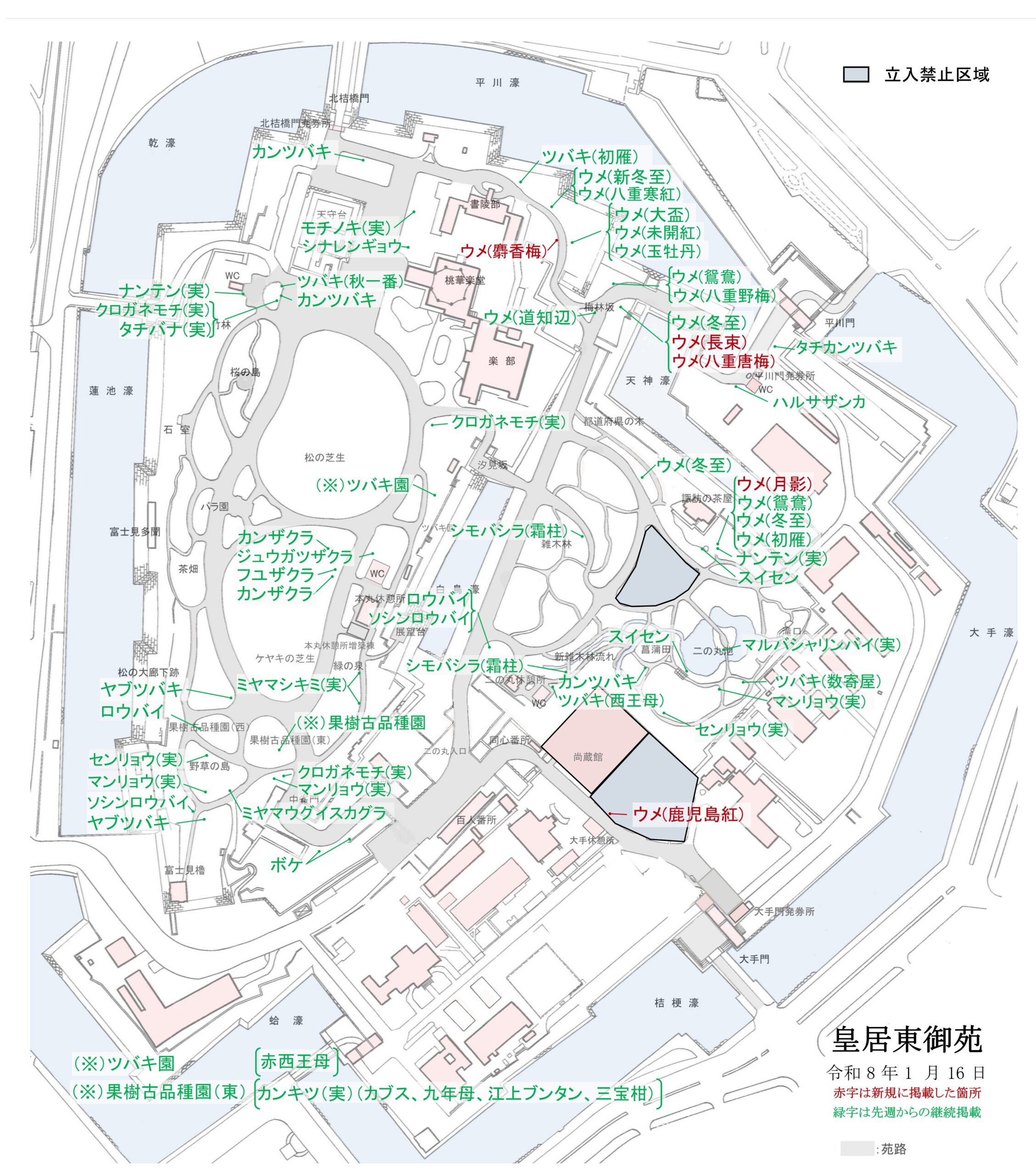 令和8年1月16日 皇居東御苑開花地図