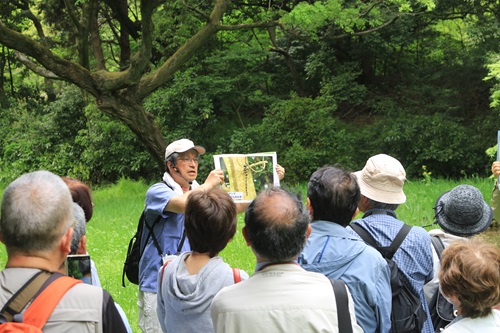 観察会コースの様子