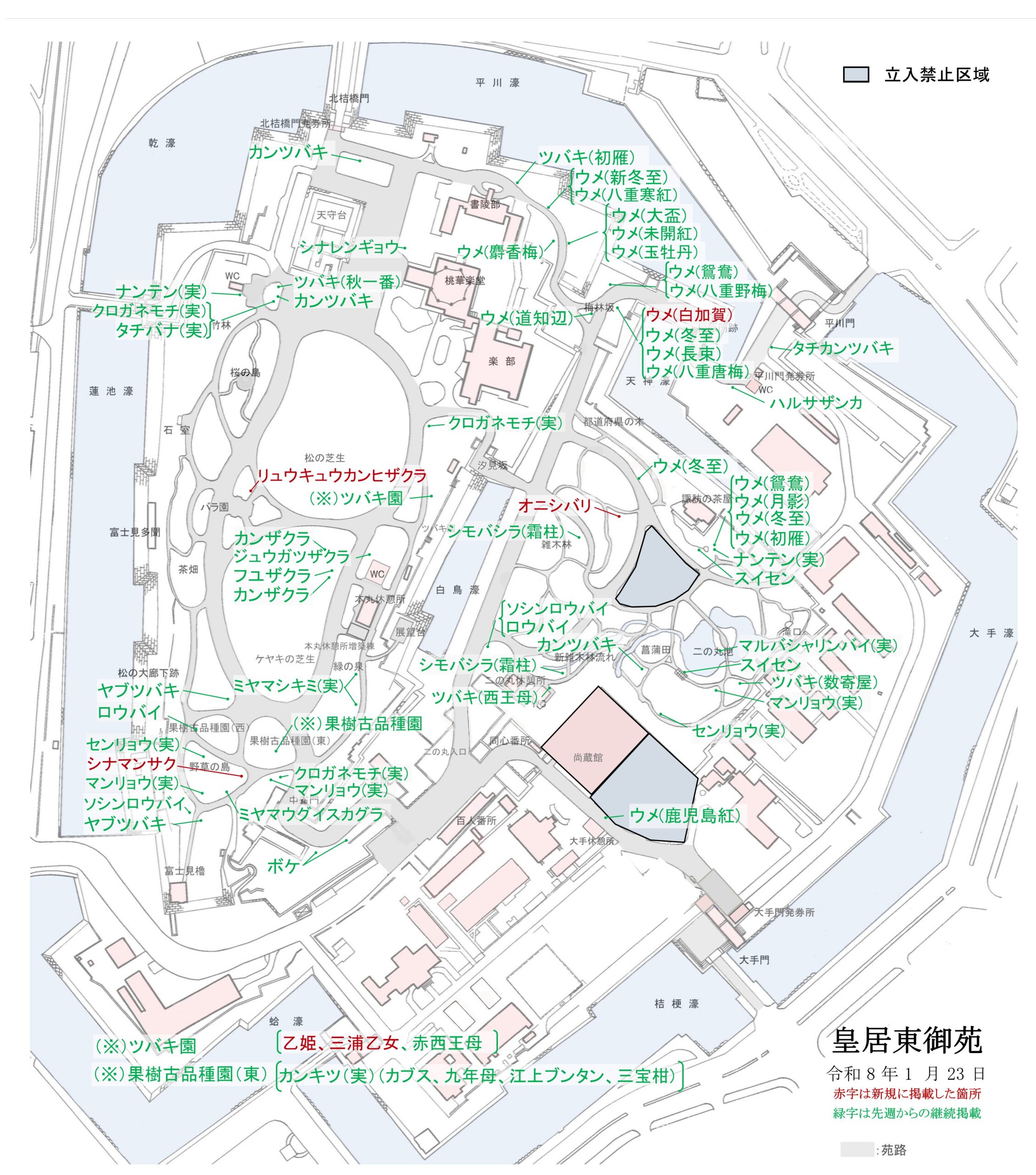 令和8年1月23日皇居東御苑開花地図