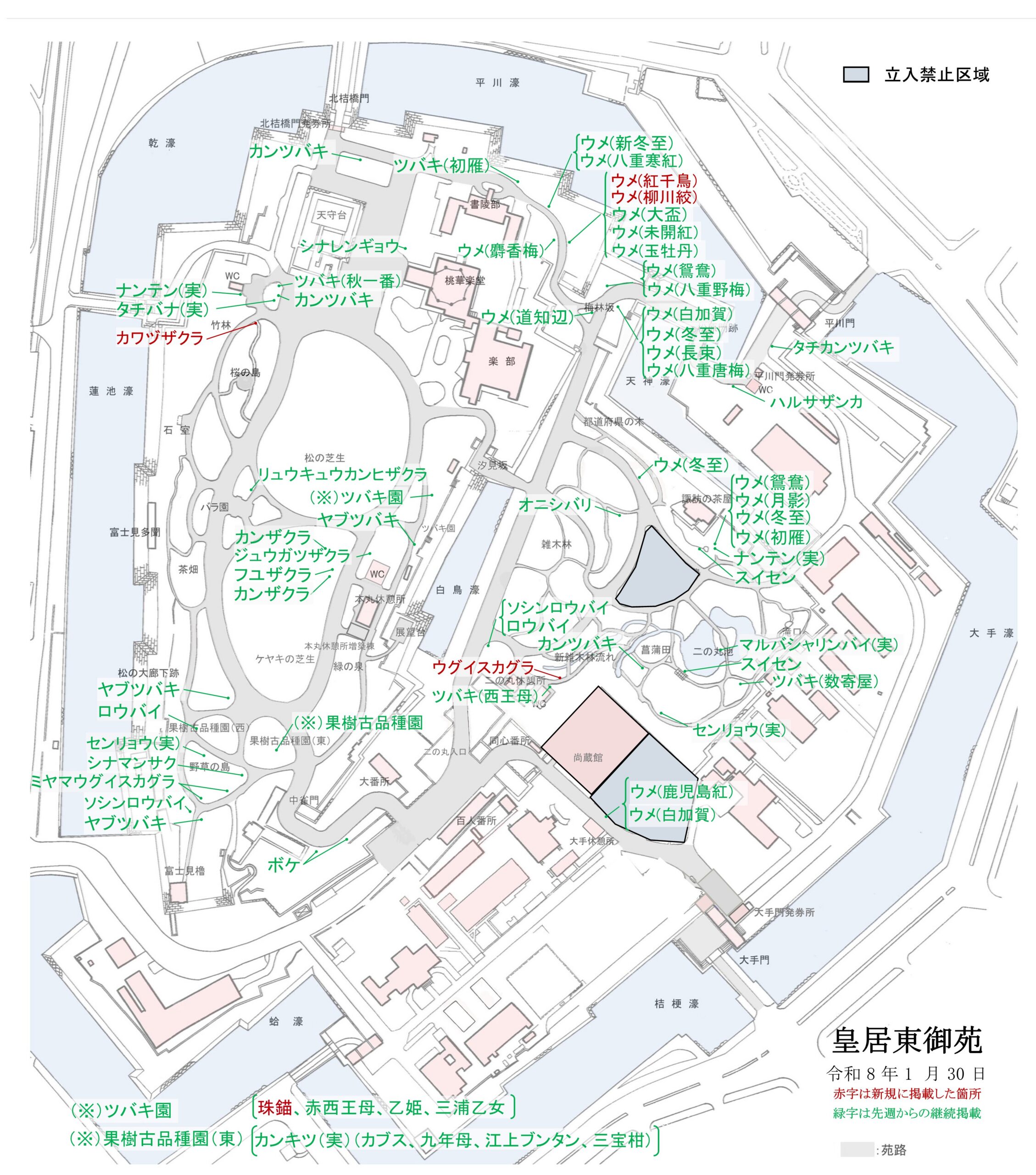 令和8年1月30日皇居東御苑開花地図