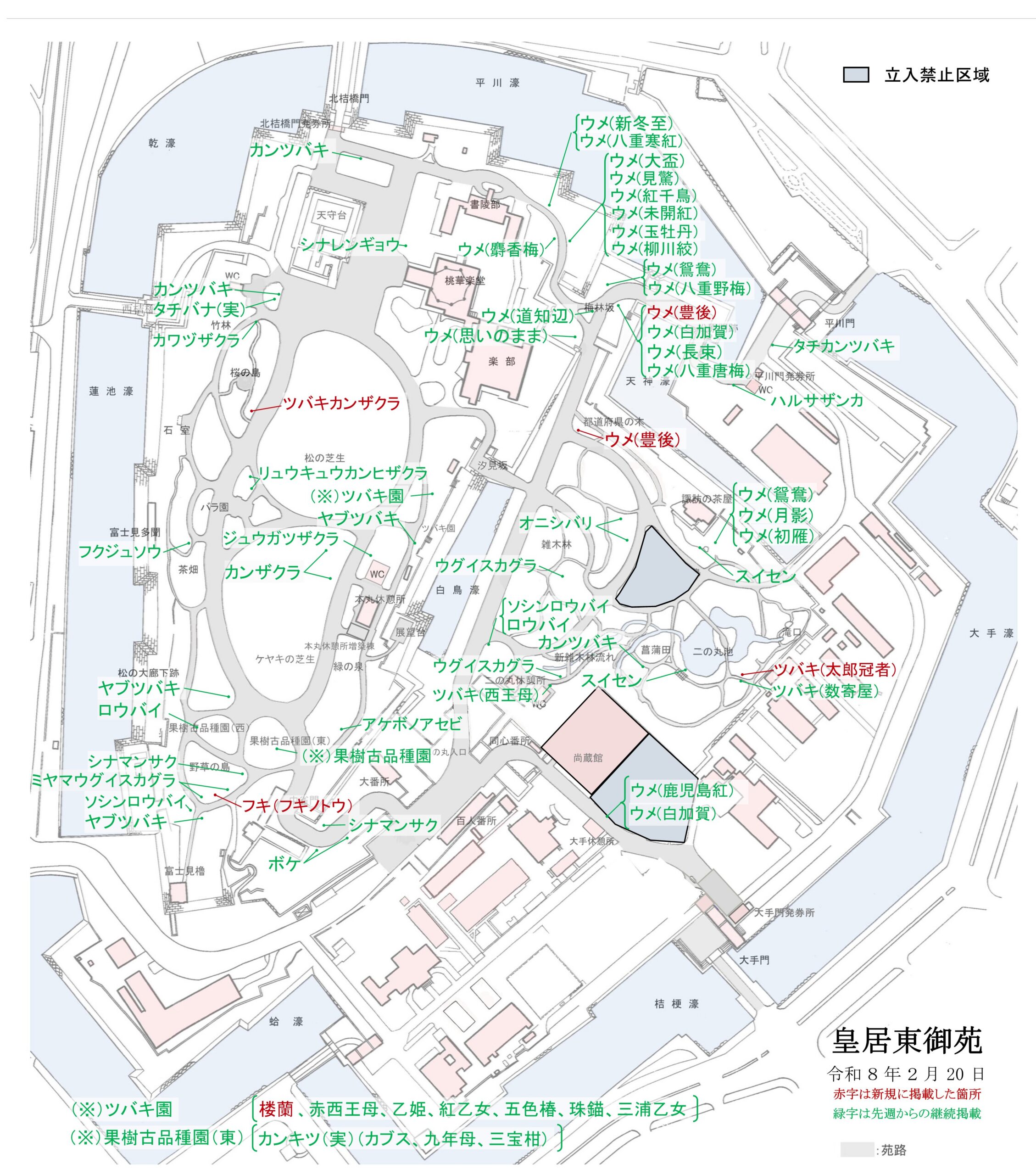 令和8年2月20日皇居東御苑開花地図